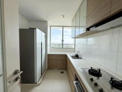 The Chuan (D19), Condominium #573195551